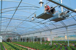 Riscaldamento per serre AER PS immagine 2